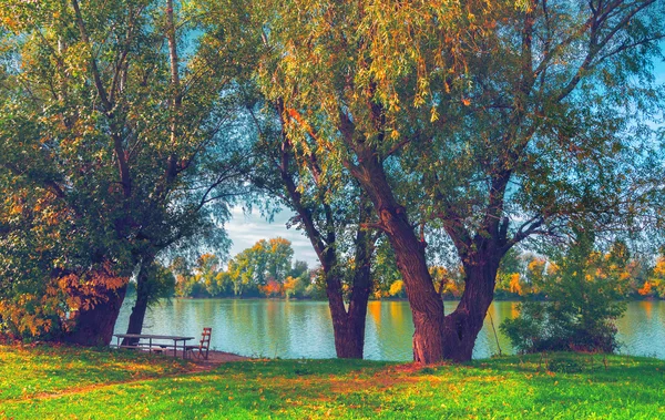 川の横にある木を示す美しい秋の風景 — ストック写真