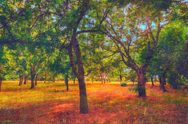Arte grunge paisaje mostrando bosque o parque en otoño hermoso — Foto de Stock