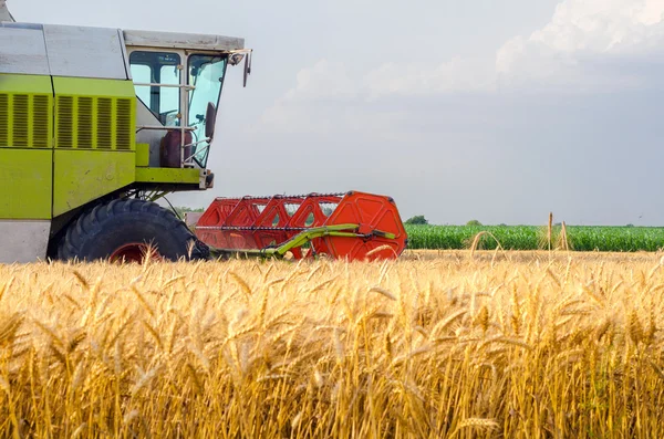 Mietitrebbie mietitrebbie grano in campo agricolo — Foto Stock