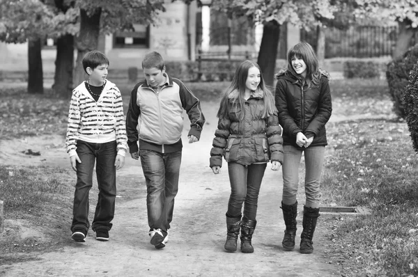 Ragazzi e ragazze adolescenti che camminano e parlano nel parco sulla bella — Foto Stock