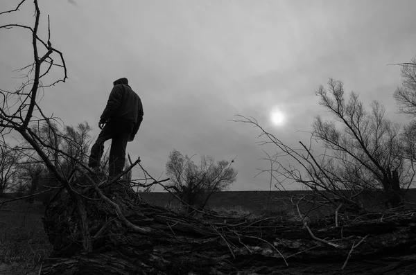 Silhouette of man with hood standing on trunk of dead tree in creepy forest — Stock Photo, Image