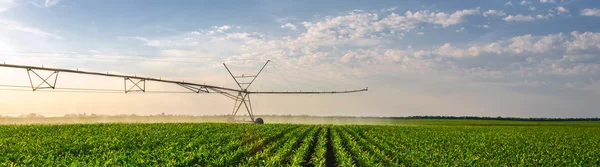 Sistema de irrigação agrícola rega campo de milho no dia ensolarado de verão — Fotografia de Stock