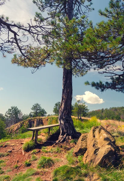 Letní krajina zobrazeno dřevěná lavička na vrcholu hory — Stock fotografie