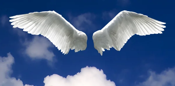 Andělská křídla s pozadí oblohy Royalty Free Stock Fotografie