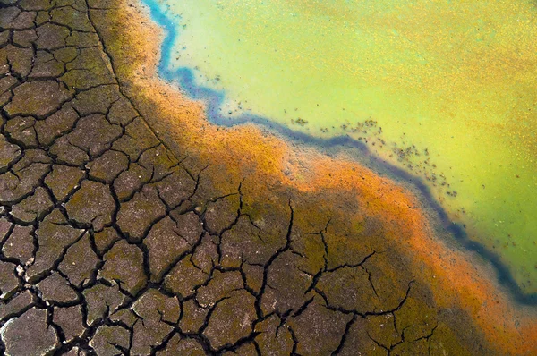 Загрязненная вода и трещины в почве во время засухи — стоковое фото