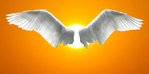 Ангельські крила з фоном, зробленим із заходу сонця неба та сонця — стокове фото
