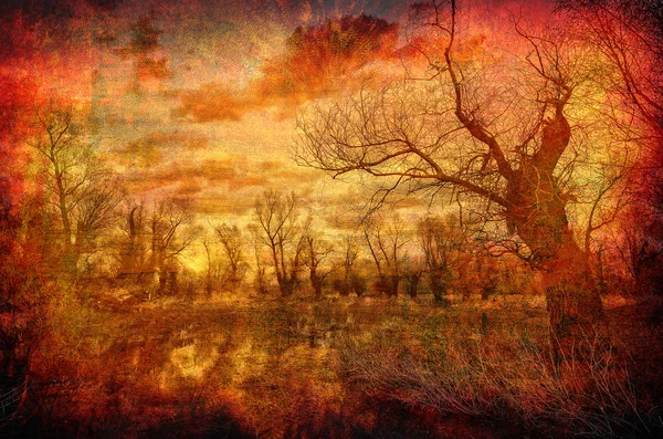 Art grunge táj kísérteties erdő tavaszi bemutató — Stock Fotó