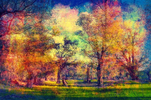 Art grunge paesaggio mostrando vecchia foresta nella soleggiata giornata estiva — Foto Stock