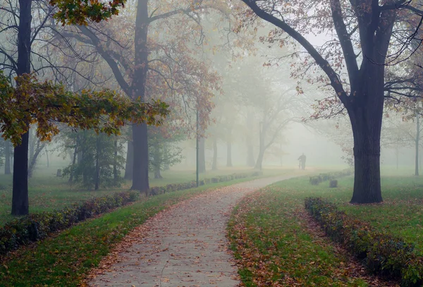 Homme marchant dans le parc par beau matin d'automne brumeux — Photo