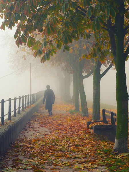 Femme en noir marchant dans l'allée le jour d'automne brumeux — Photo