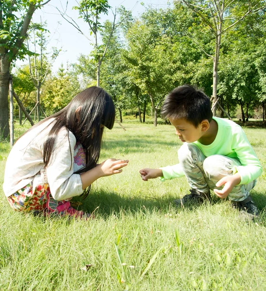 Barnen på gräset — Stockfoto