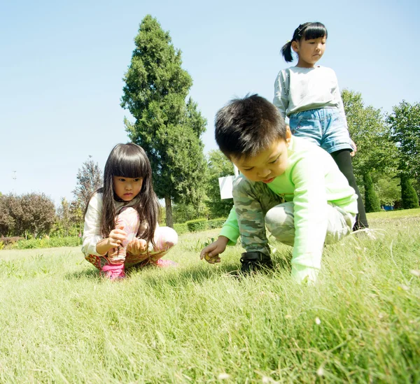 The children on the grass — Stock Photo, Image