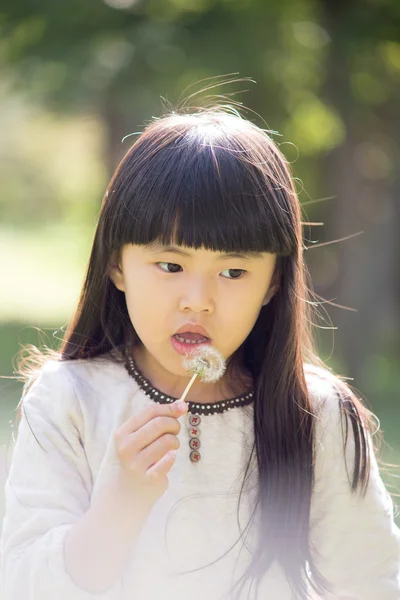 मुलगी दांडेलियन फुंकणे — स्टॉक फोटो, इमेज