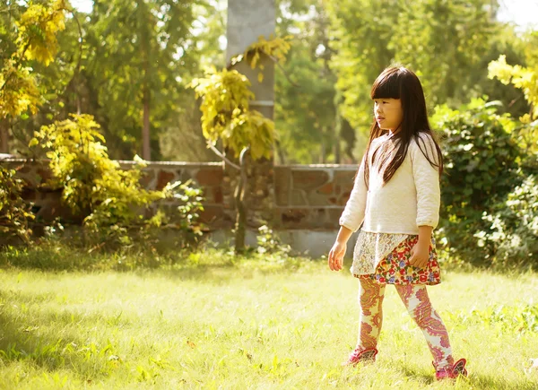 Lovely little girl — Stock Photo, Image