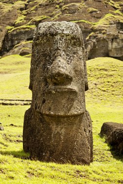 Rapa Nui Milli Parkı