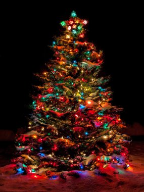 Çok renkli ışıklar ile Noel ağacı kar kaplı