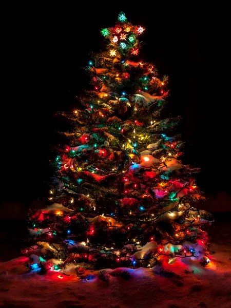 雪覆盖多色彩的灯光圣诞树 — 图库照片