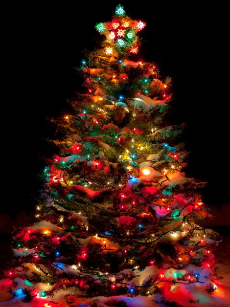 Árvore de Natal Coberto de Neve com Luzes Multi Coloridas — Fotografia de Stock