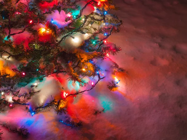 Árbol de Navidad cubierto de nieve con luces multicolores — Foto de Stock