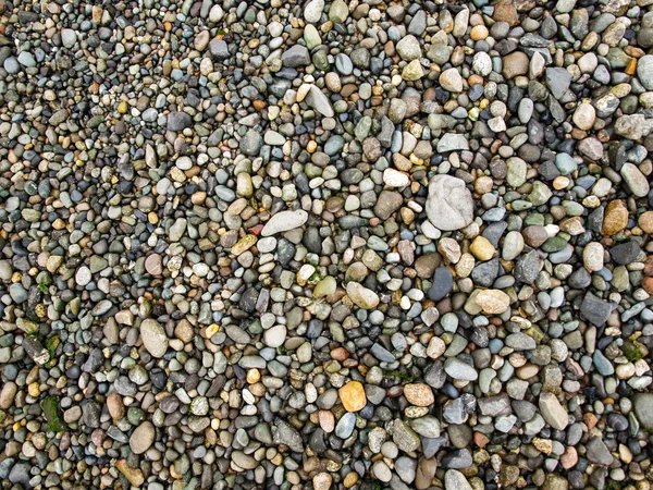 Rock Pebble Background — Stock Photo, Image