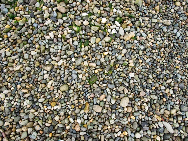 Rock Pebble Background — Stock Photo, Image