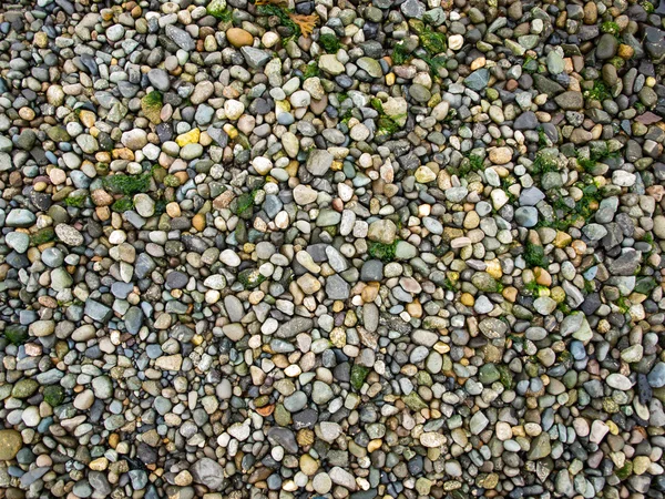 Rock pebble achtergrond — Stockfoto