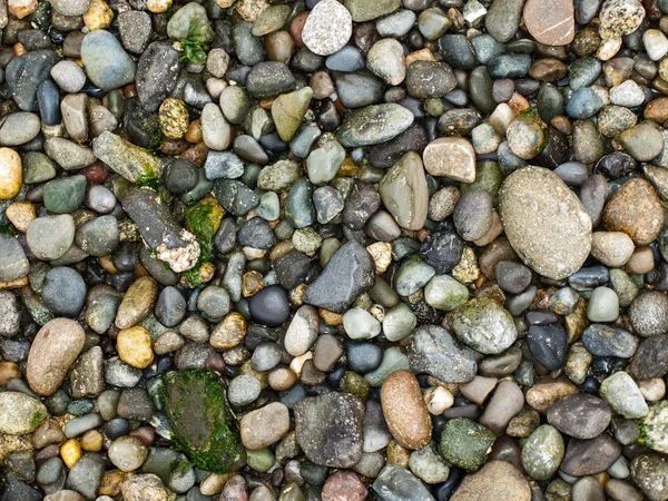 Rock pebble achtergrond — Stockfoto