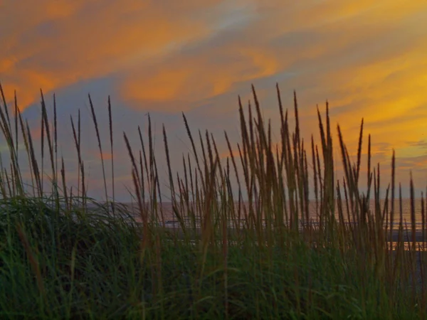 Sunset on the Beach — Stock Photo, Image