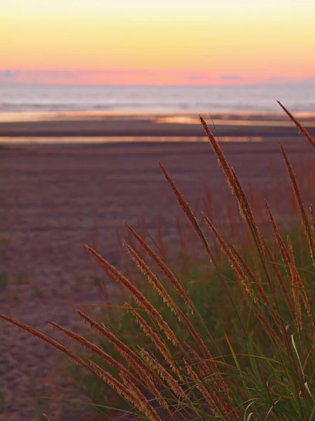 Sonnenuntergang am Strand — Stockfoto