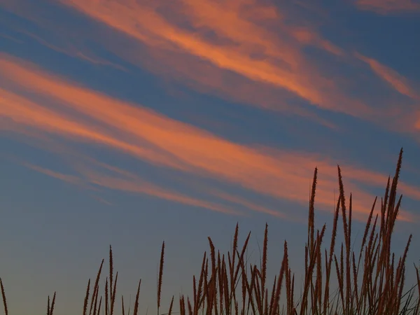 Sonnenuntergang am Strand — Stockfoto