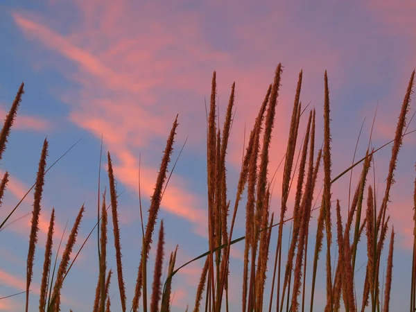 Pôr do sol na praia — Fotografia de Stock