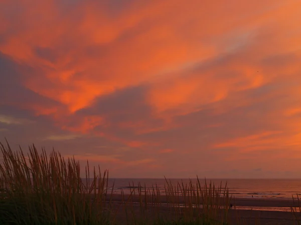 Tramonto sulla spiaggia Foto Stock Royalty Free