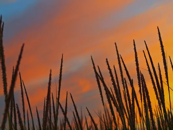 Tramonto sulla spiaggia Immagine Stock