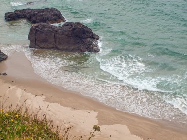 Okyanus Overlook Ecola State Park Oregon ABD