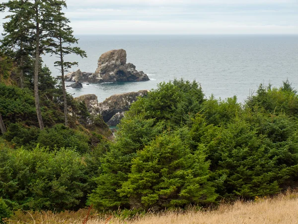 Óceánra néző Ecola State Park Oregon USA-ból — Stock Fotó