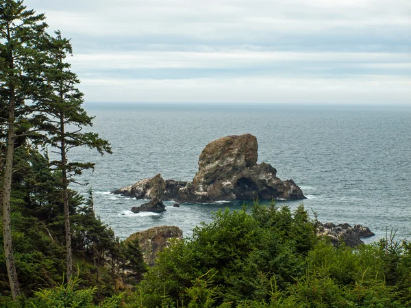 Ocean Overlook desde Ecola State Park Oregon Estados Unidos — Foto de Stock