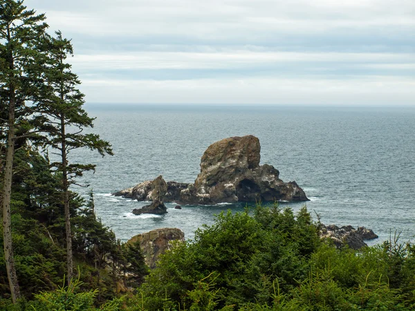 Ocean Overlook from Ecola State Park Oregon USA — Stock Photo, Image