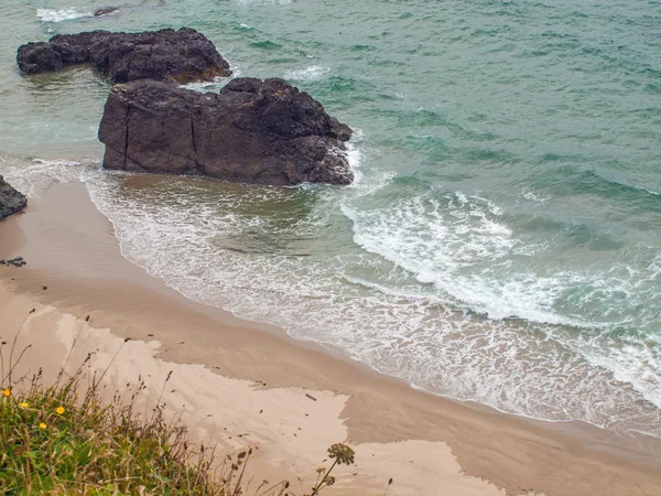 Oceaan over het hoofd van Ecola State Park Oregon Usa — Stockfoto