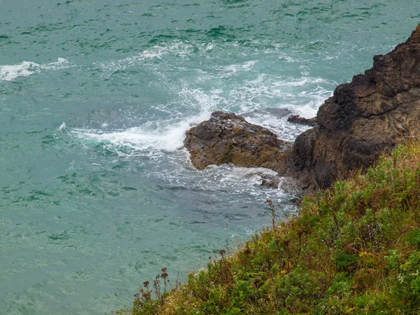 Ocean Overlook from Ecola State Park Oregon USA — Stock Photo, Image