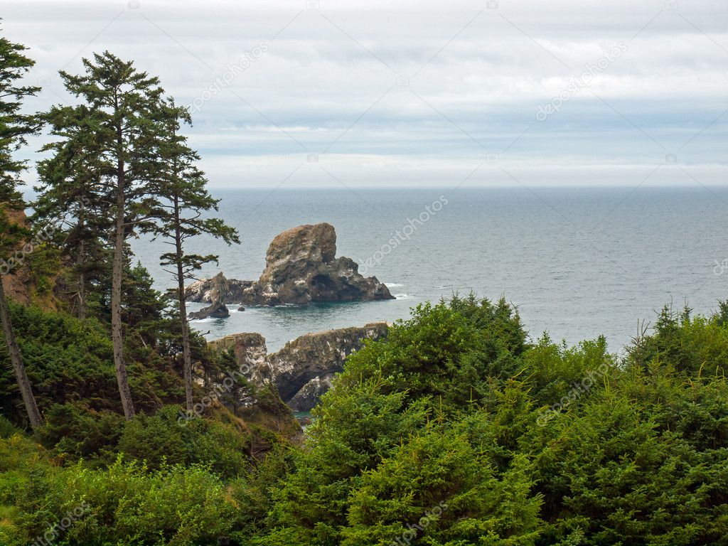 Ocean Overlook from Ecola State Park Oregon USA