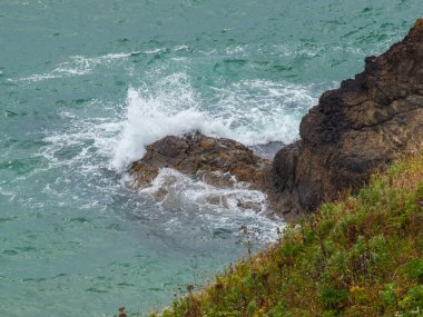 Okyanus Overlook Ecola State Park Oregon ABD