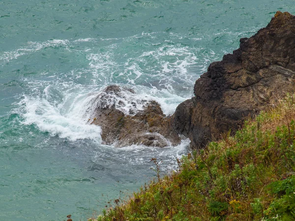 Ocean Overlook from Ecola State Park Oregon USA — Stock Photo, Image