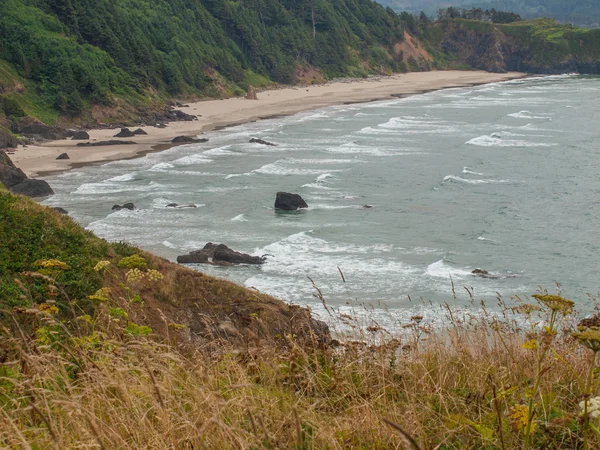 Una vista sulla spiaggia rocciosa — Foto Stock