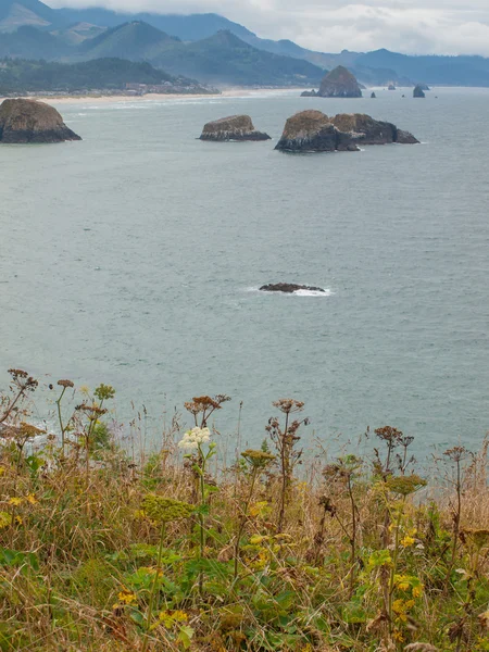 View of Haystack Rock — Stock Photo, Image