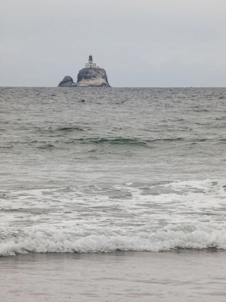 Ondas batendo na costa — Fotografia de Stock