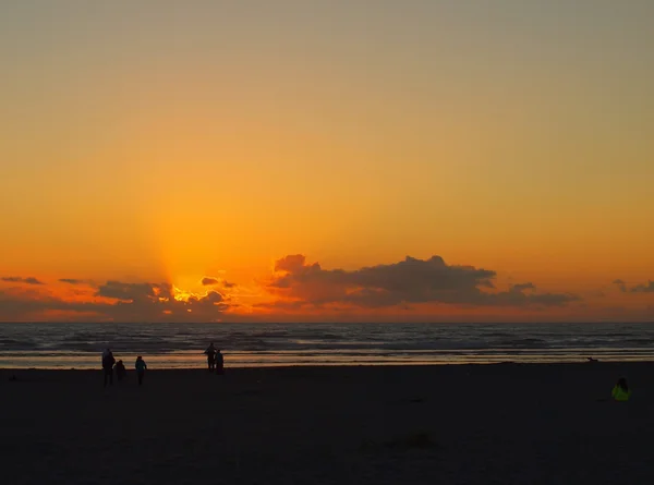 Золотой закат на пляже — стоковое фото