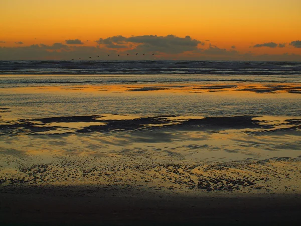 Gouden zonsondergang op het strand — Stockfoto