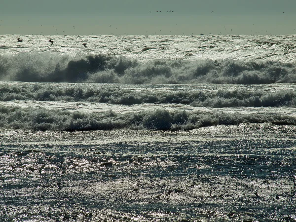 Olas chocando en la orilla —  Fotos de Stock