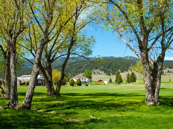 框架在蒙大拿州美国乡村场景的树 — 图库照片