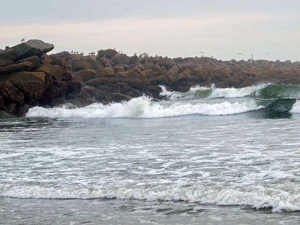 Un Jetty de Rock con aves marinas y olas — Foto de Stock